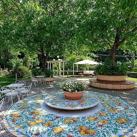 Amazing In With Wifi 福利尼奥